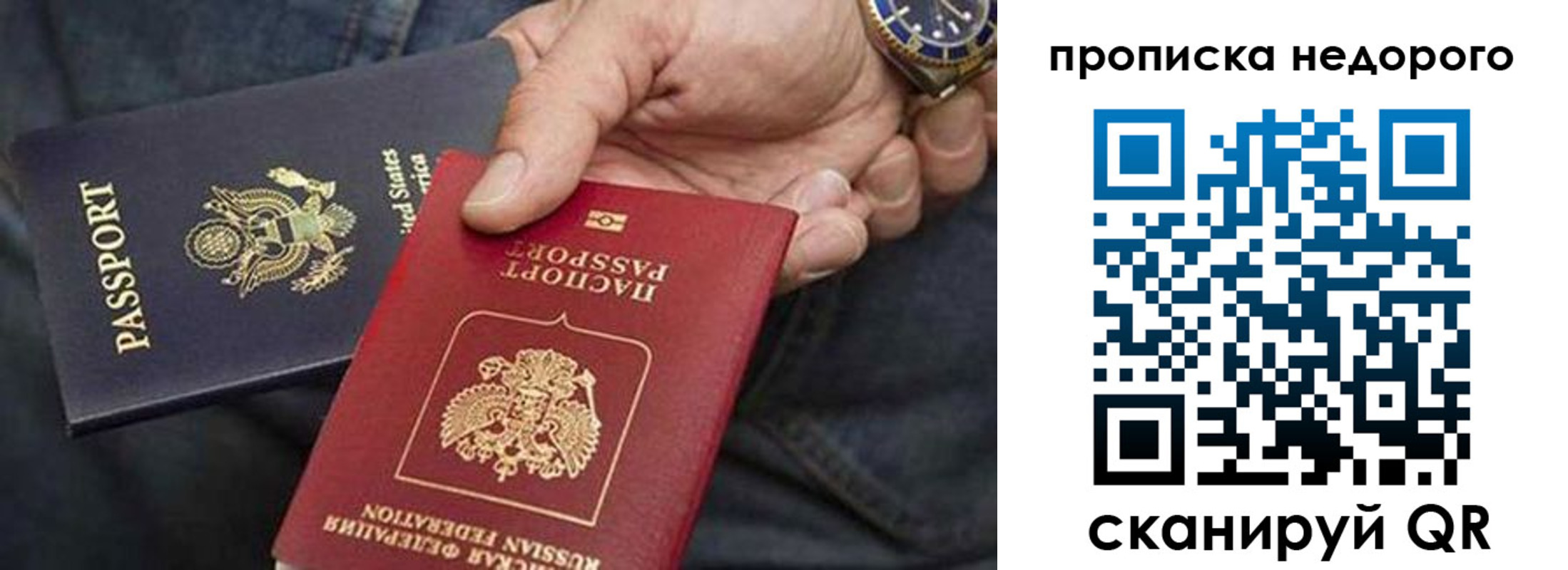 прописка в Судогде